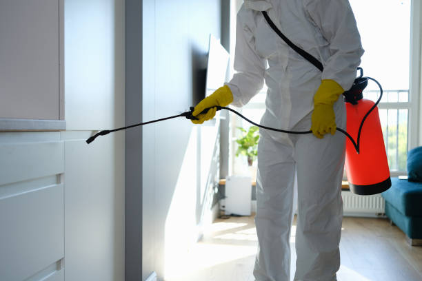 Best Professional Mold Removal  in Morris, OK