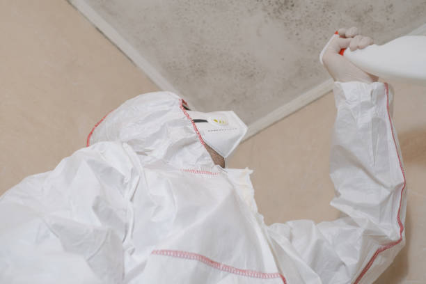 Best Home Mold Removal  in Morris, OK