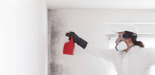 Crawl Space Mold Removal in Morris, OK