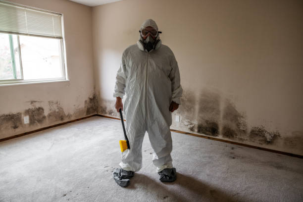 Best Home Mold Removal  in Morris, OK