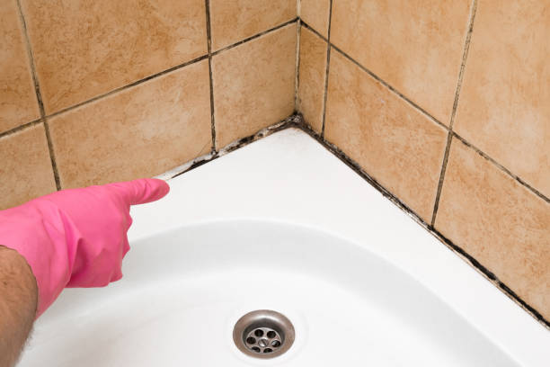 Best Mold Cleaning Services  in Morris, OK